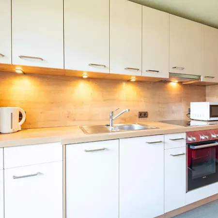 In Tyrol Near Lift 菲根